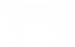 veila_logo